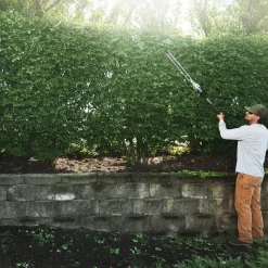 EGO Power Equipment Commercial 21” Extended Pole Hedge Trimmer HTX5310-P