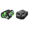 EGO Power Equipment POWER+ 5.0 Amp Hour Battery and 56V Standard Charger Starter Kit SKA2800T