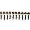 Grip Rite 6X1-5/8 Coarse Phosphate-Plated Black Philips Drywall Screw 1000CT CS158C1MBK