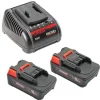 RIDGID 18V 2.5 Ah LI-Ion Batteries (X2) & Charger Set 66013